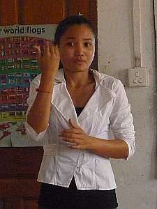 Sign language interpreter