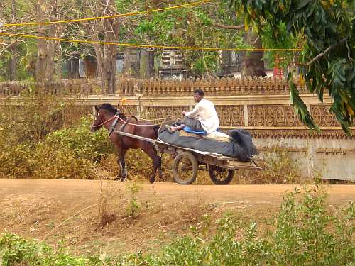 Local transportation in Kampong Cham
