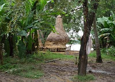 A Cambodian haystack