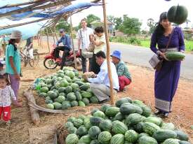 A stop to buy watermelons